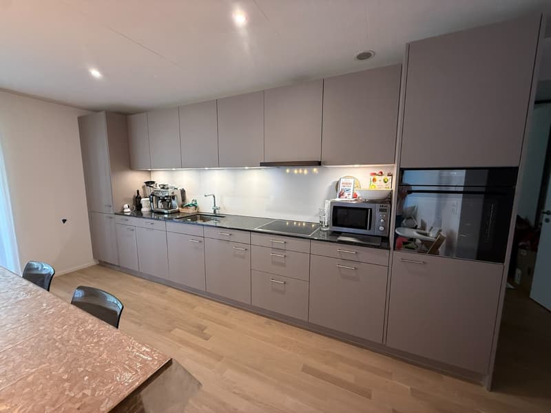 Traumhafte und lichtdurchflutete moderne 4.5 Zimmergartenwohnung mit optimaler Besonnung und Freecooling (2)