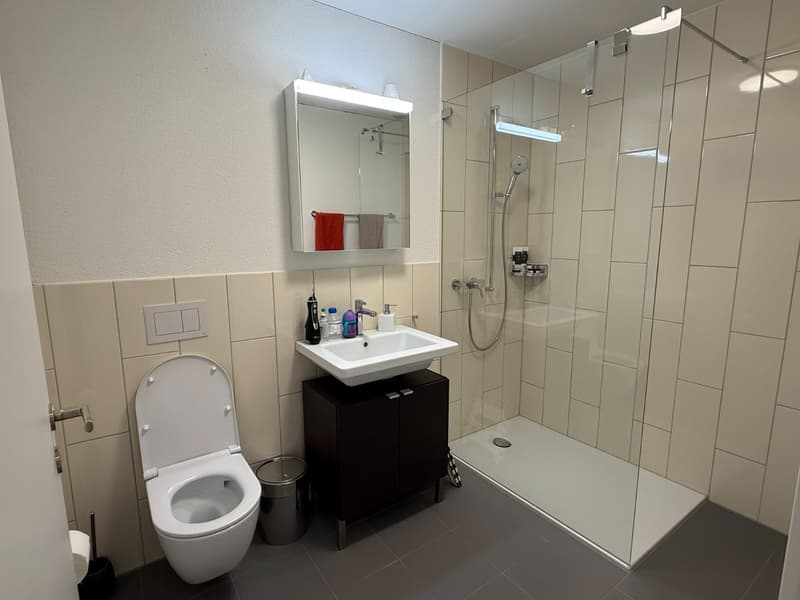 Traumhafte und lichtdurchflutete moderne 4.5 Zimmergartenwohnung mit optimaler Besonnung und Freecooling (9)