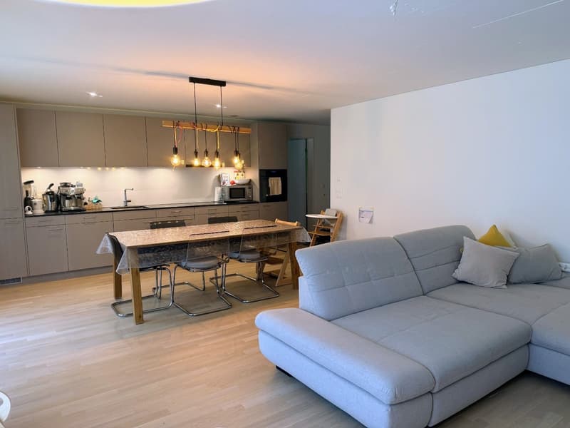 Traumhafte und lichtdurchflutete moderne 4.5 Zimmergartenwohnung mit optimaler Besonnung und Freecooling (3)