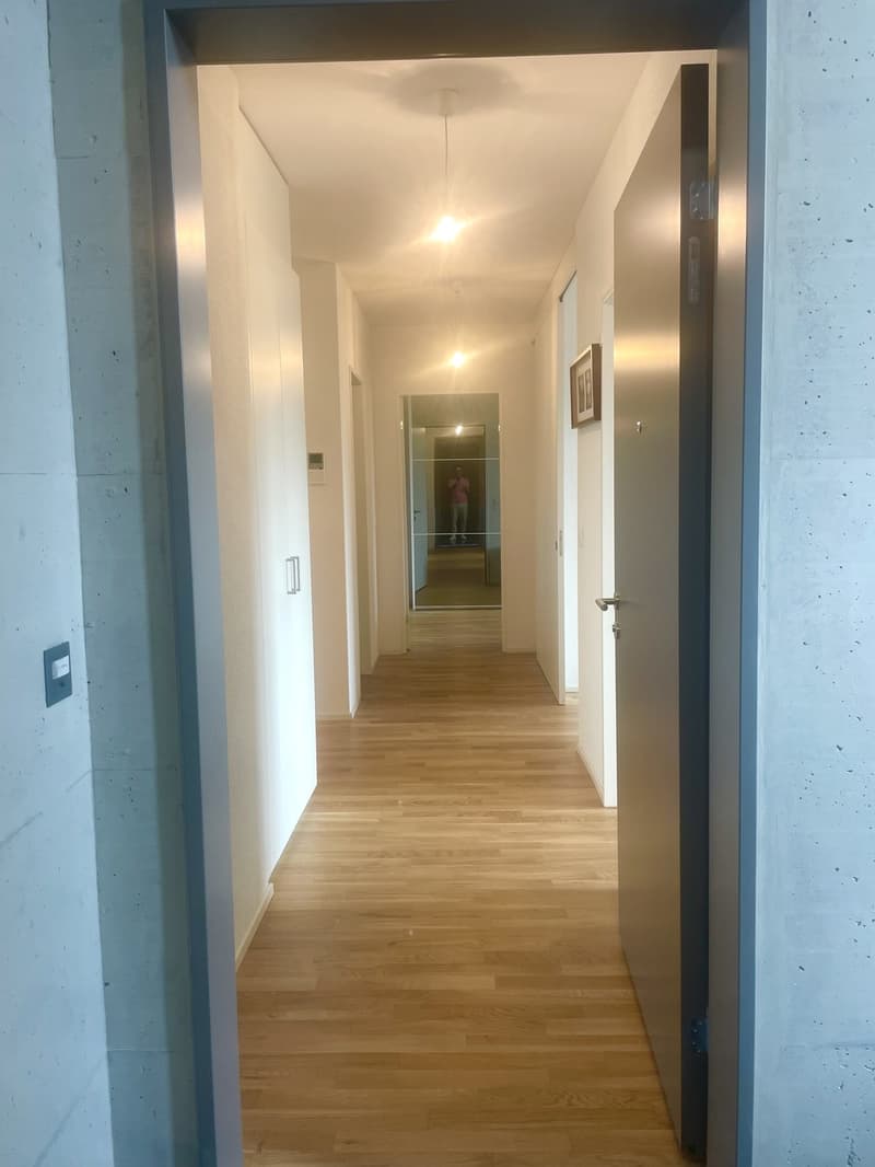 Bright room in a spacious and modern apartment (4)