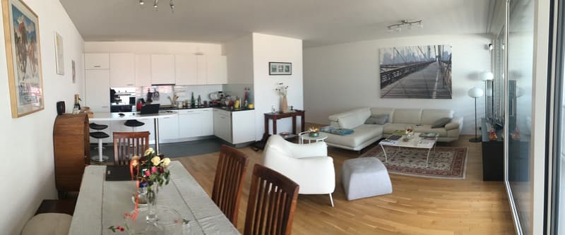 Bright room in a spacious and modern apartment (3)