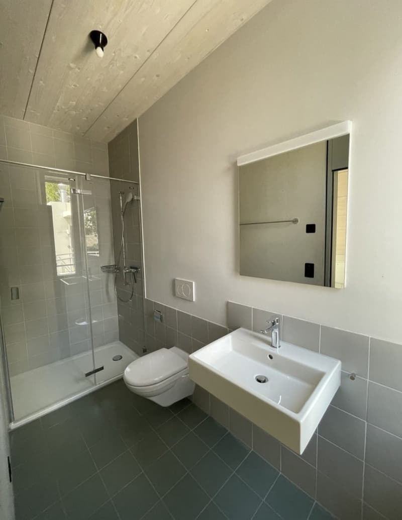 Wunderschöne Wohnung in Embrach (6)