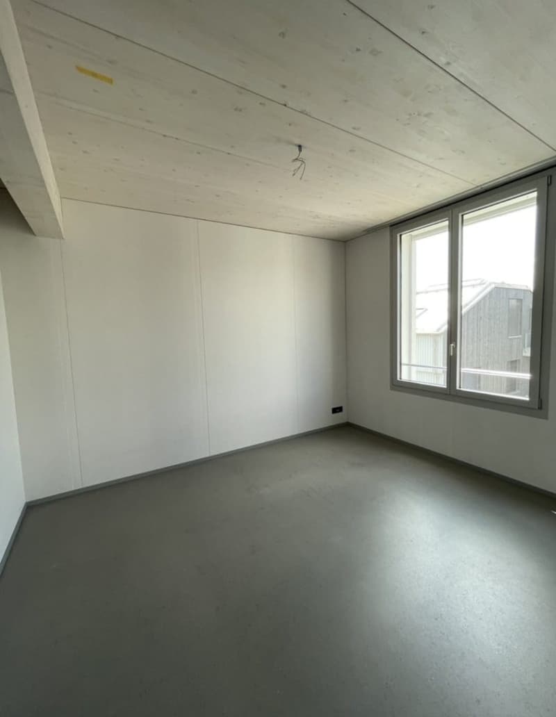 Wunderschöne Wohnung in Embrach (8)