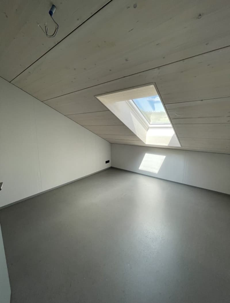 Wunderschöne Wohnung in Embrach (9)