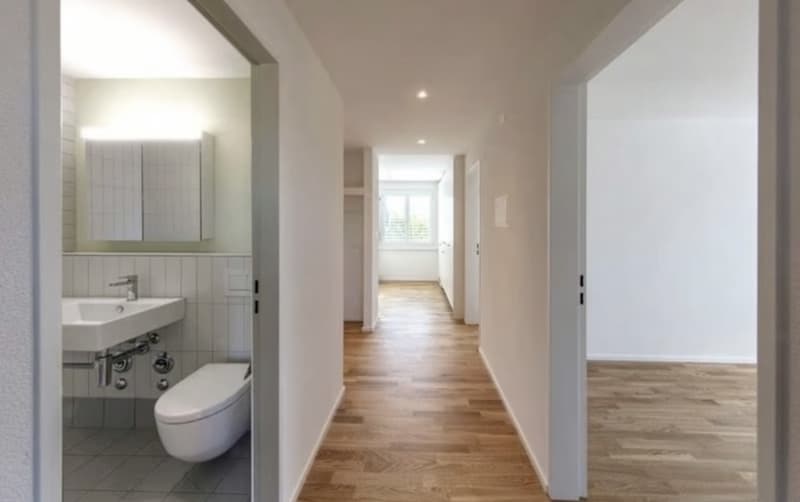 3.5 Zimmer Wohnung in Hinwil ZH (3)