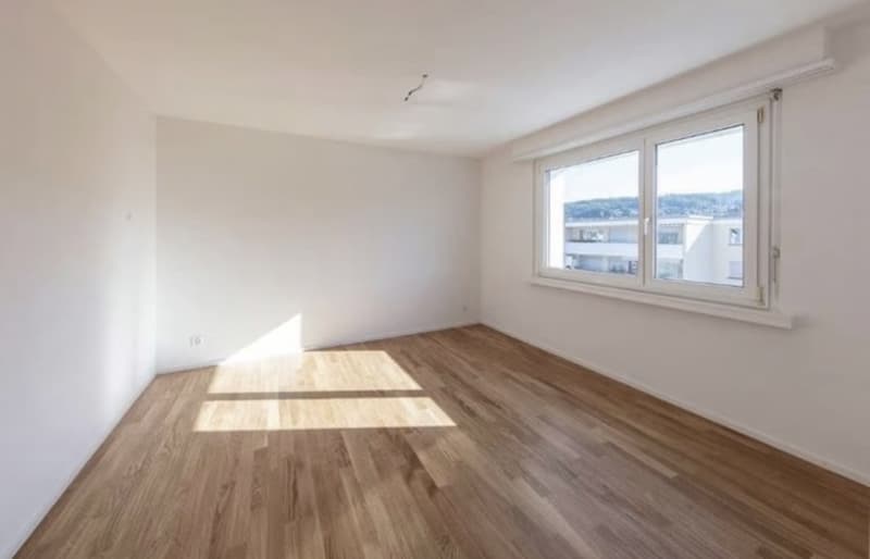 3.5 Zimmer Wohnung in Hinwil ZH (4)