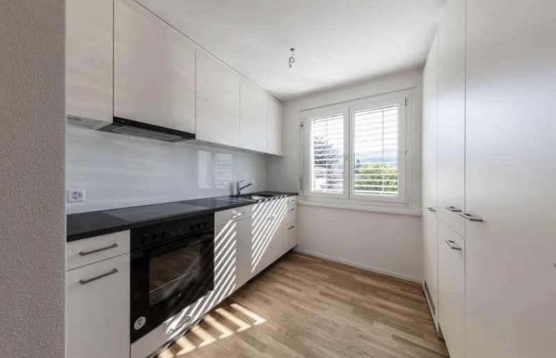 3.5 Zimmer Wohnung in Hinwil ZH (1)