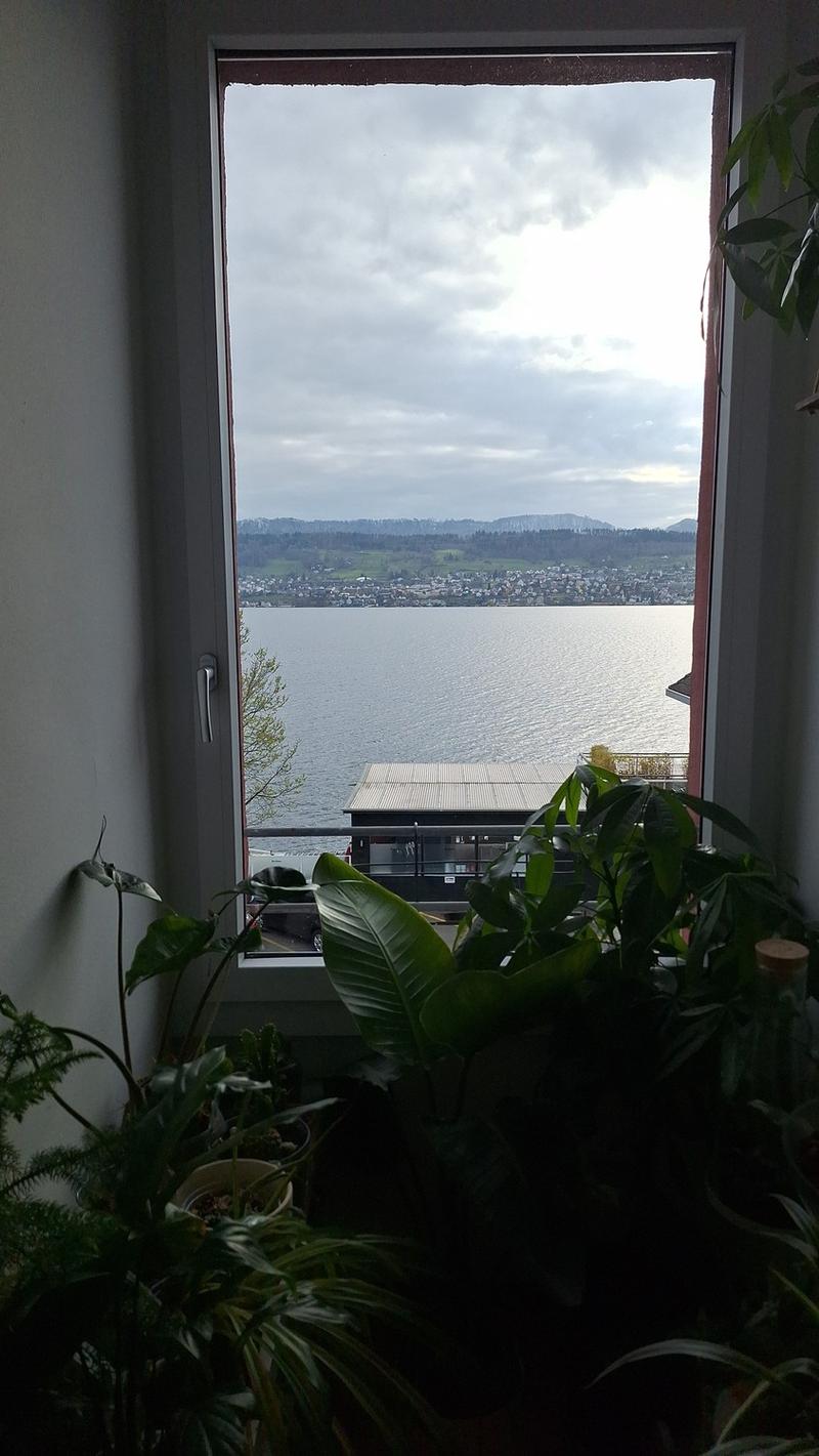 Einzug per 25.10. möglich (8)