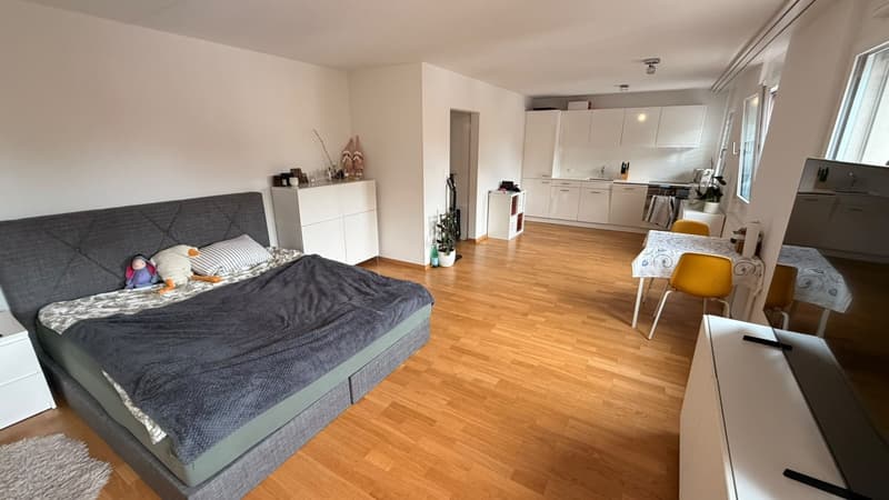 Full Sunny Apartment (2)