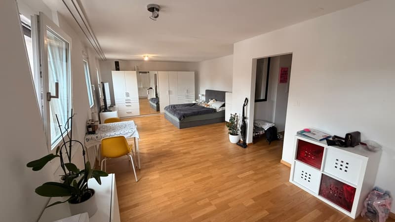 Full Sunny Apartment (1)