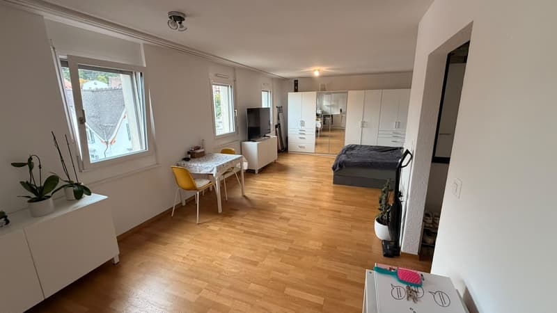 Full Sunny Apartment (3)