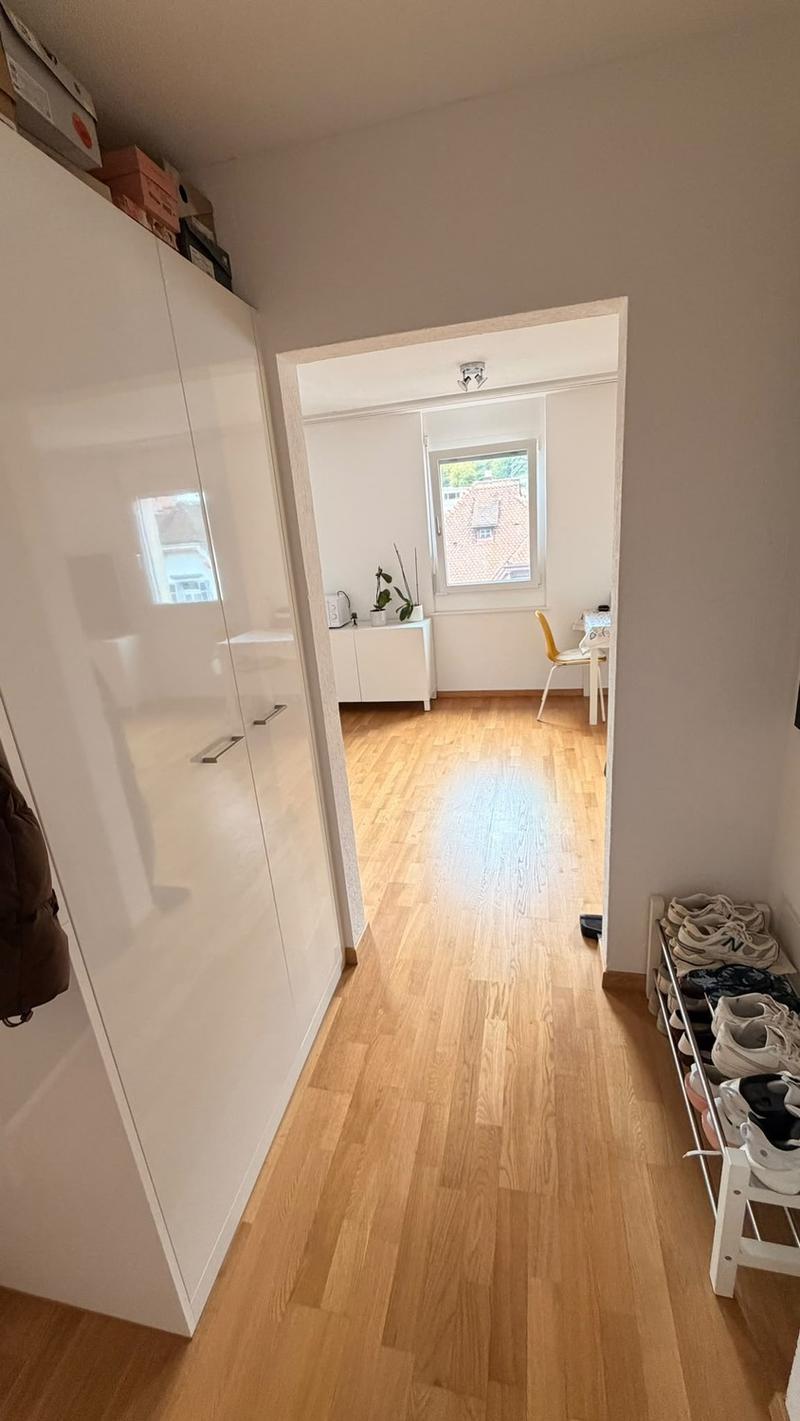 Full Sunny Apartment (8)