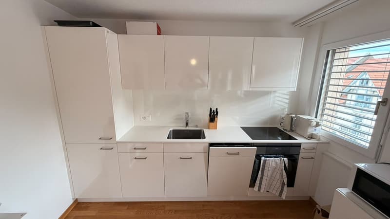 Full Sunny Apartment (4)