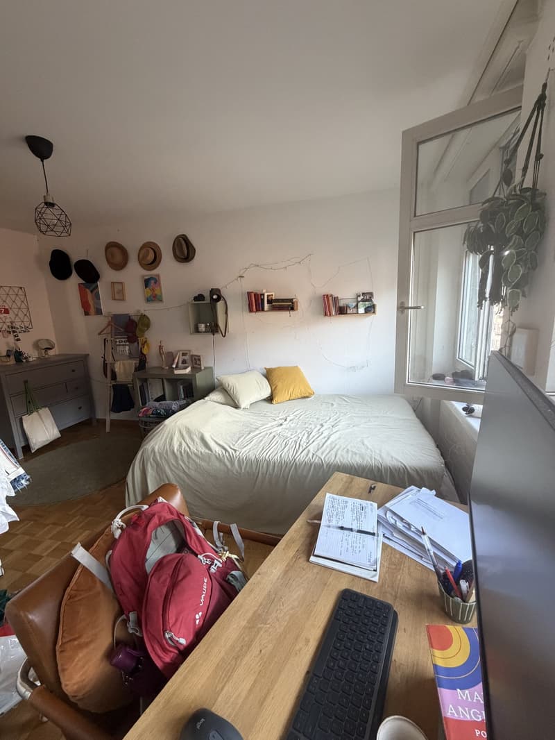 Cute room in shared flat in Schaffauserplatz (1)