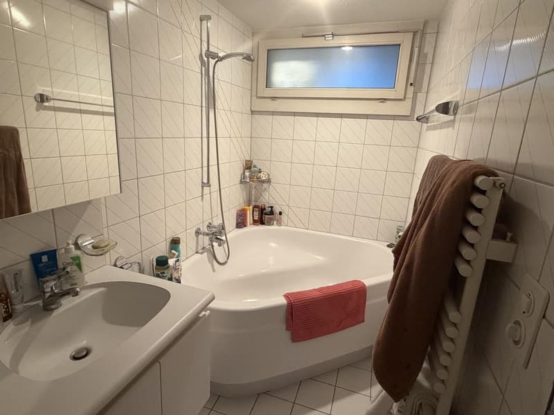 Cute room in shared flat in Schaffauserplatz (4)