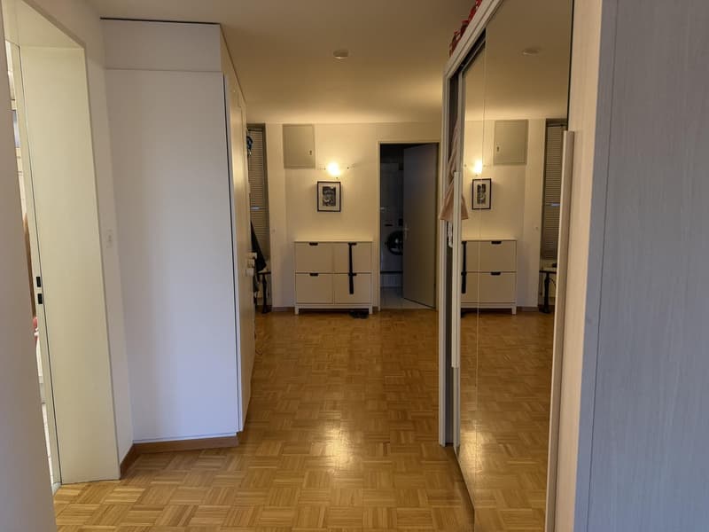 Cute room in shared flat in Schaffauserplatz (3)