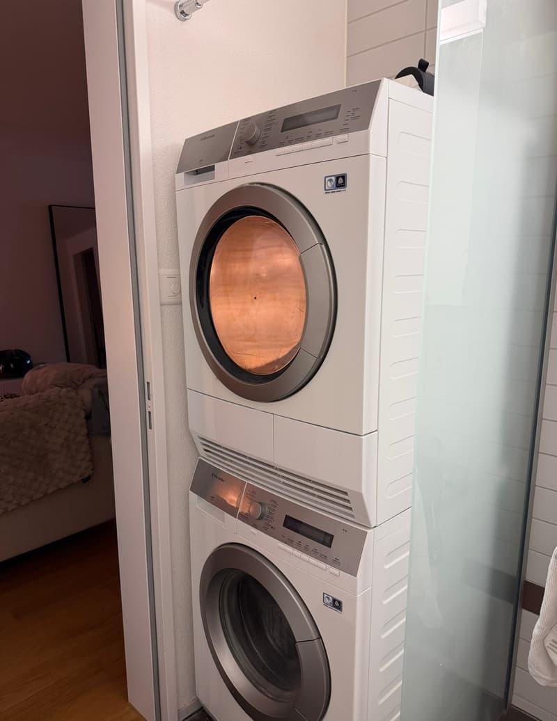 3.5 Zi-Wohnung (4)
