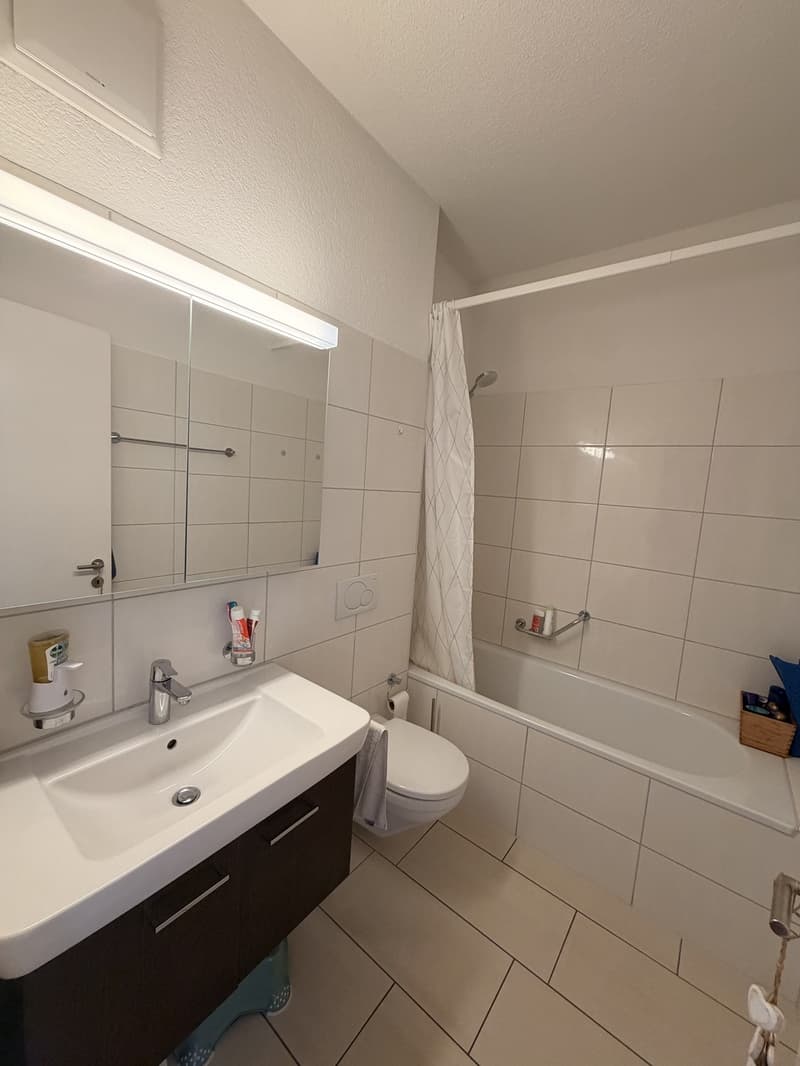 Beautiful 3.5-room apartment in Zürich Enge will be available from 1 November (12)