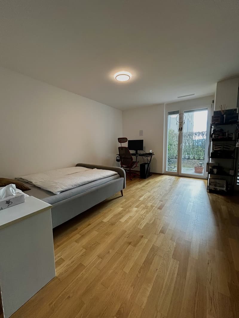 Helle 1.5-Zimmer-Wohnung im EG mit grosser Terrasse, eigener Waschküche, Keller und Garage (7)