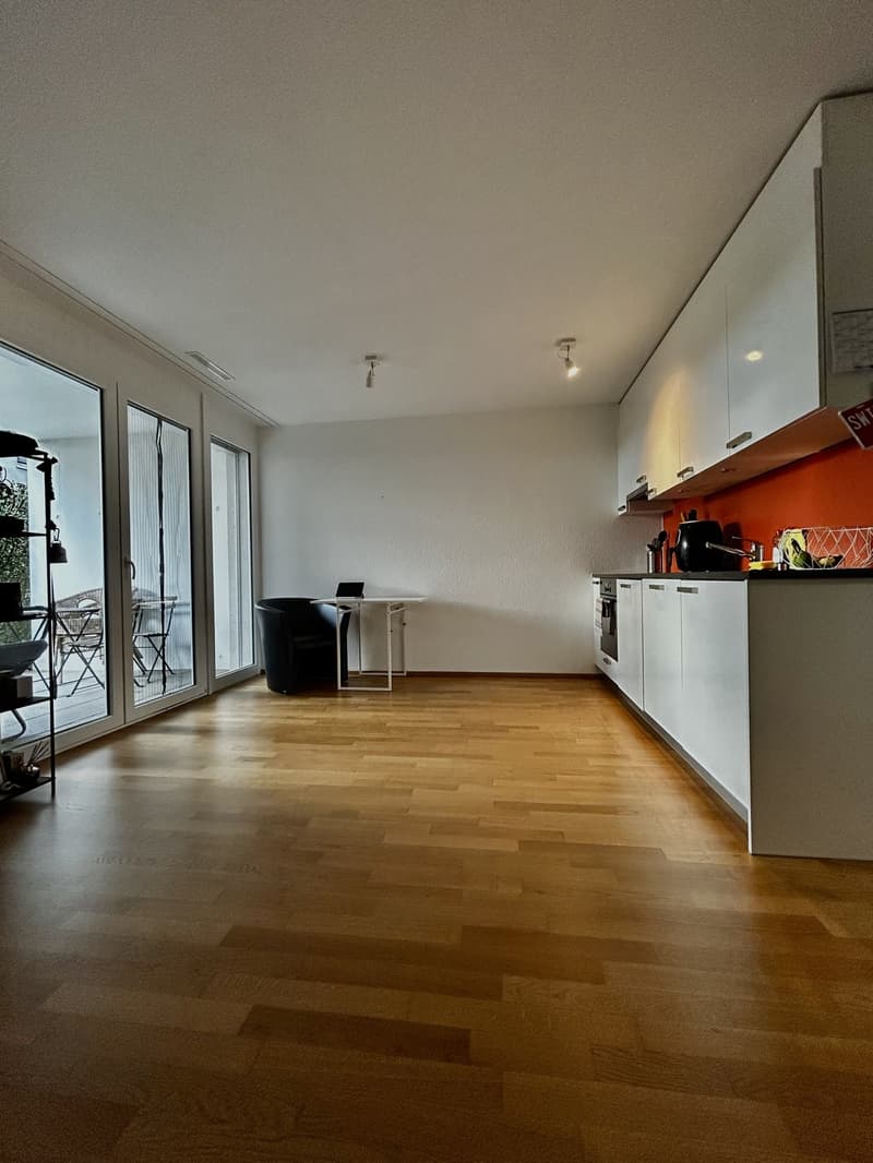 Helle 1.5-Zimmer-Wohnung im EG mit grosser Terrasse, eigener Waschküche, Keller und Garage (6)