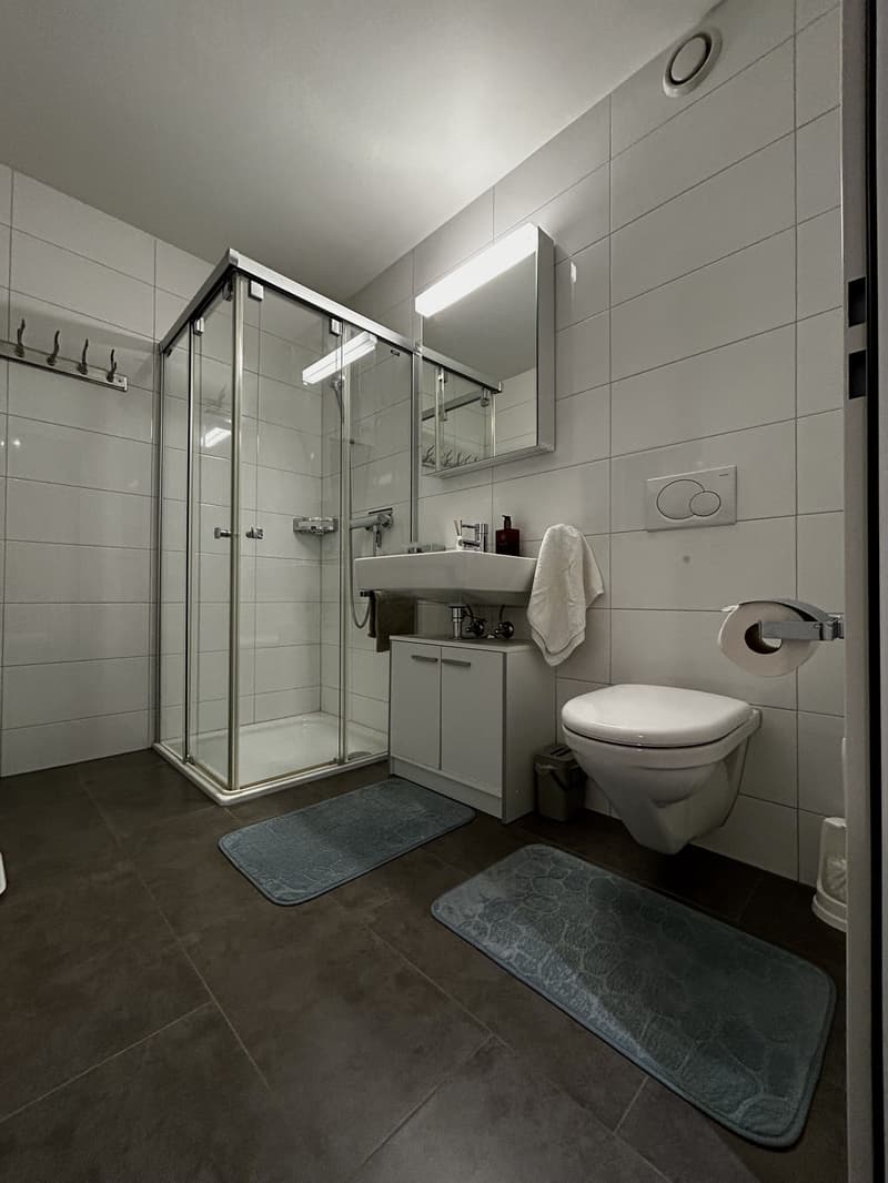 Helle 1.5-Zimmer-Wohnung im EG mit grosser Terrasse, eigener Waschküche, Keller und Garage (10)
