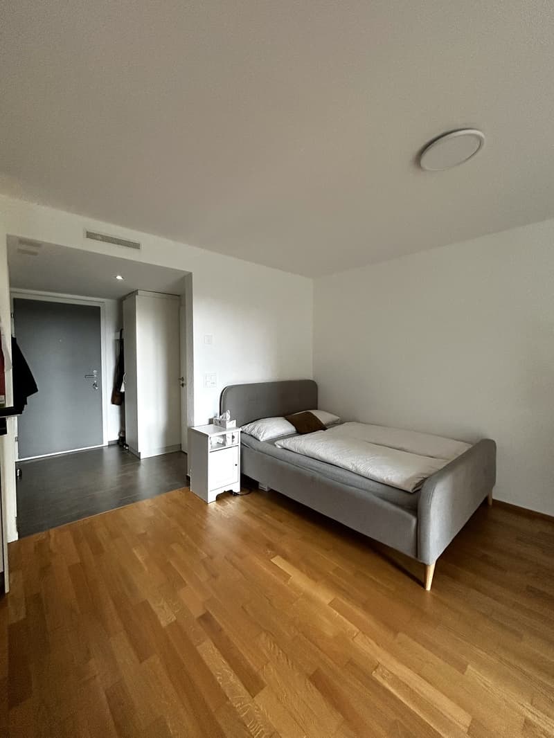Helle 1.5-Zimmer-Wohnung im EG mit grosser Terrasse, eigener Waschküche, Keller und Garage (8)