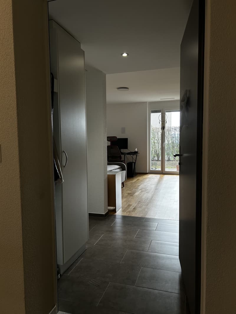 Helle 1.5-Zimmer-Wohnung im EG mit grosser Terrasse, eigener Waschküche, Keller und Garage (12)