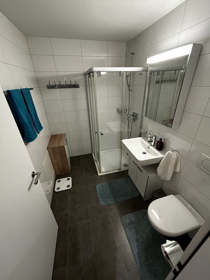 Helle 1.5-Zimmer-Wohnung im EG mit grosser Terrasse, eigener Waschküche, Keller und Garage (9)