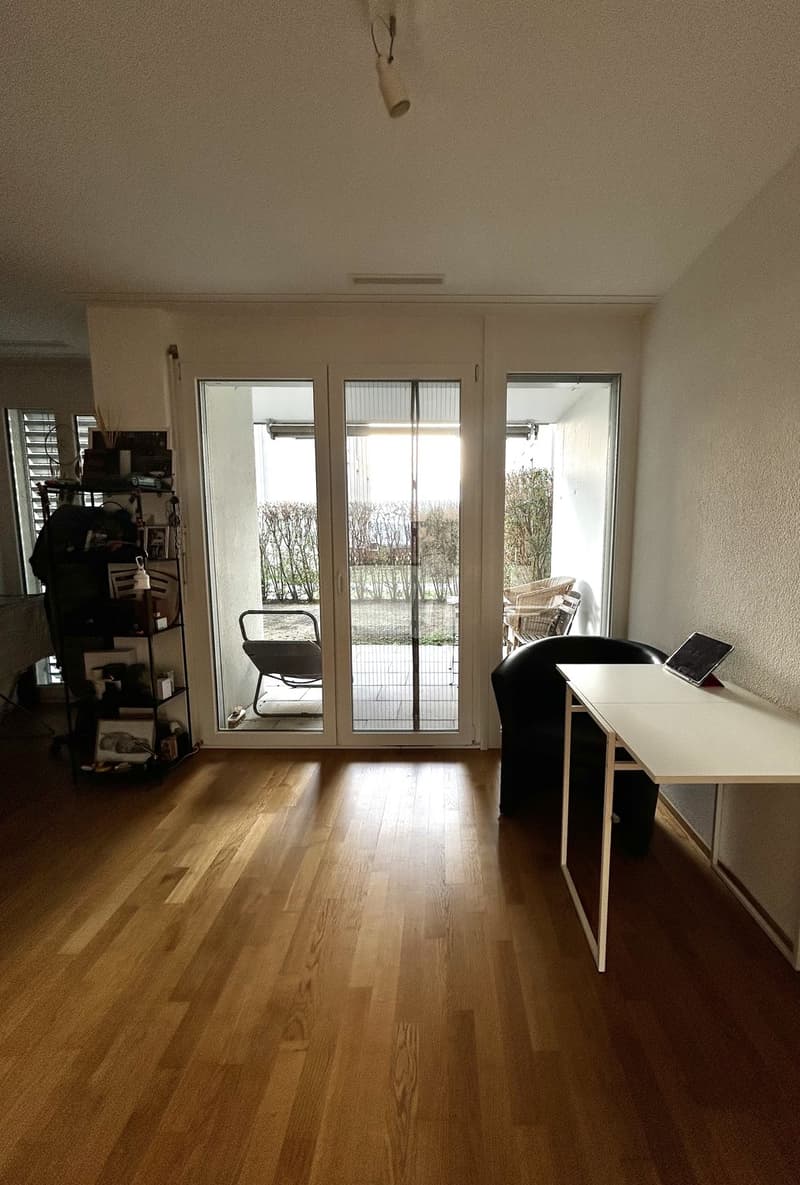 Helle 1.5-Zimmer-Wohnung im EG mit grosser Terrasse, eigener Waschküche, Keller und Garage (4)