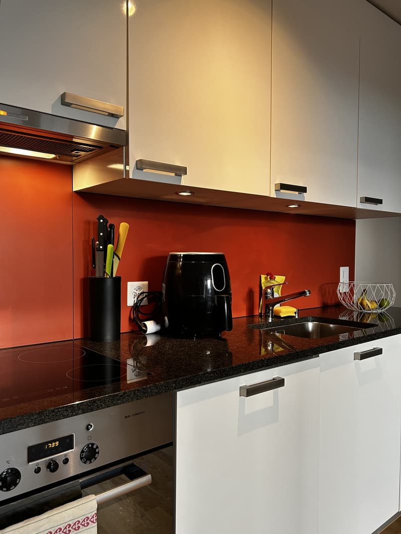 Helle 1.5-Zimmer-Wohnung im EG mit grosser Terrasse, eigener Waschküche, Keller und Garage (5)