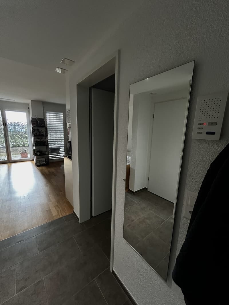 Helle 1.5-Zimmer-Wohnung im EG mit grosser Terrasse, eigener Waschküche, Keller und Garage (13)