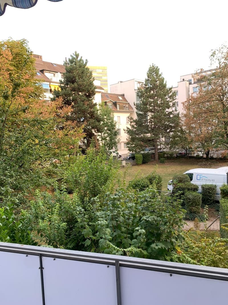 Wunderschöne, helle 2-Zimmer-Wohnung in Zürich-Oerlikon (8)