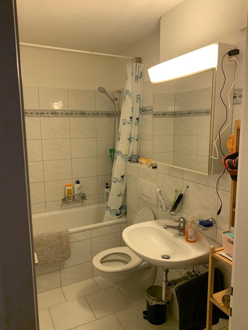 Wunderschöne, helle 2-Zimmer-Wohnung in Zürich-Oerlikon (7)