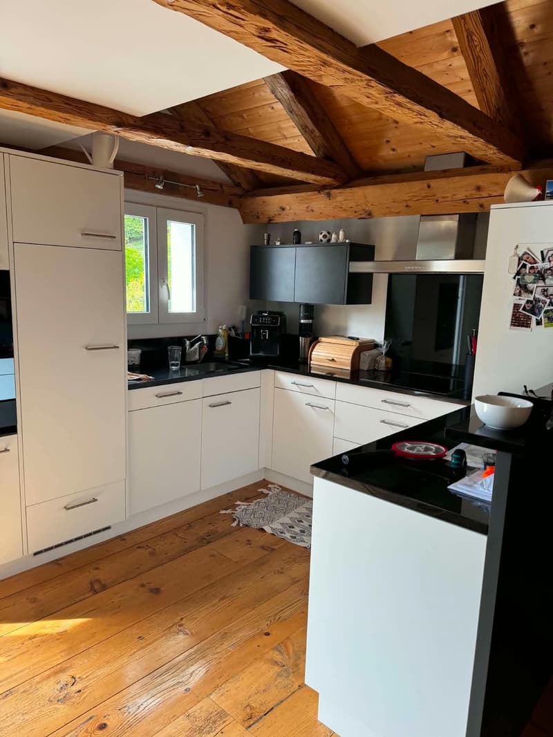 Nachmieter gesucht für eine gemütlich, gut gelegene Wohnung (3)