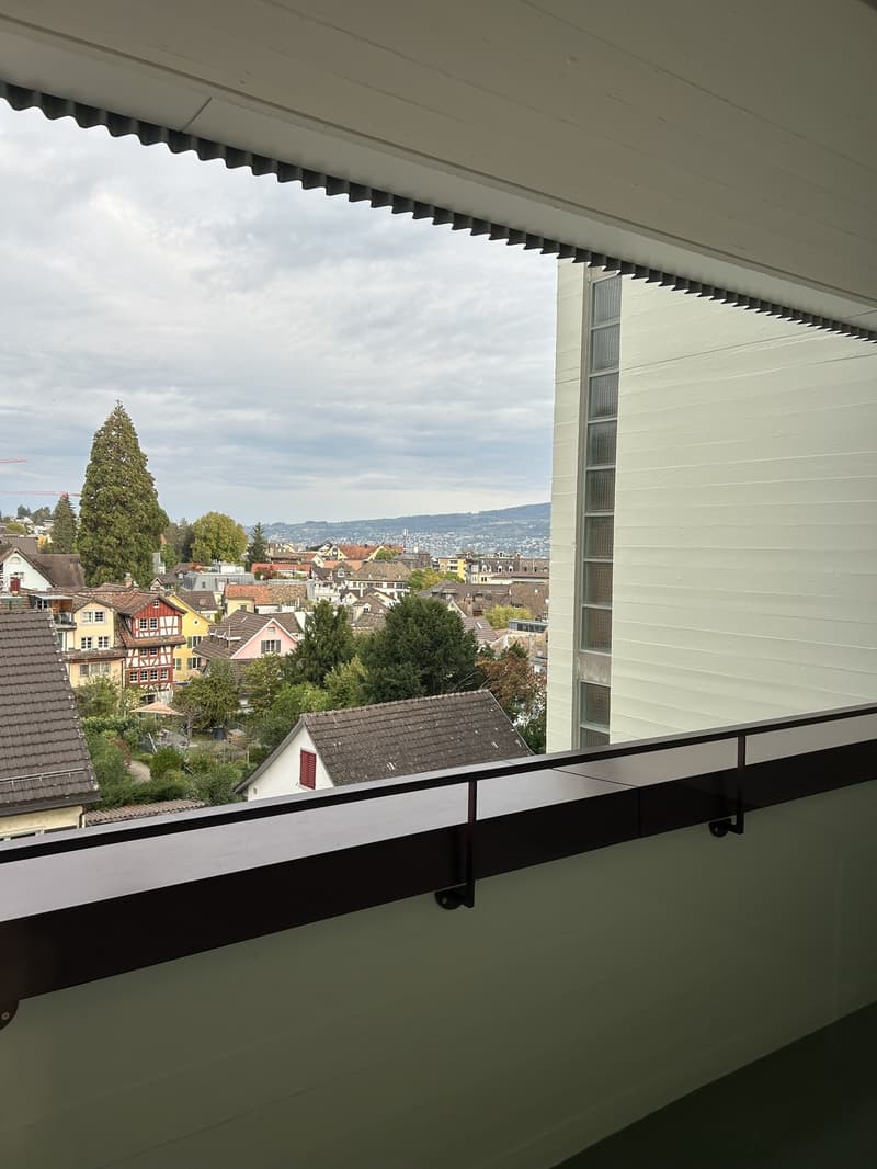 3.5 room apartment in Wädenswil (8)
