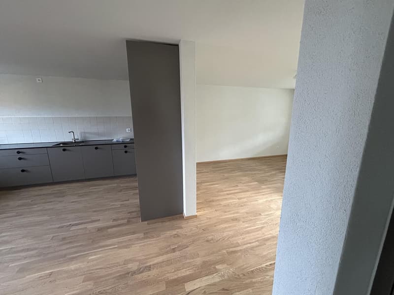 3.5 room apartment in Wädenswil (6)