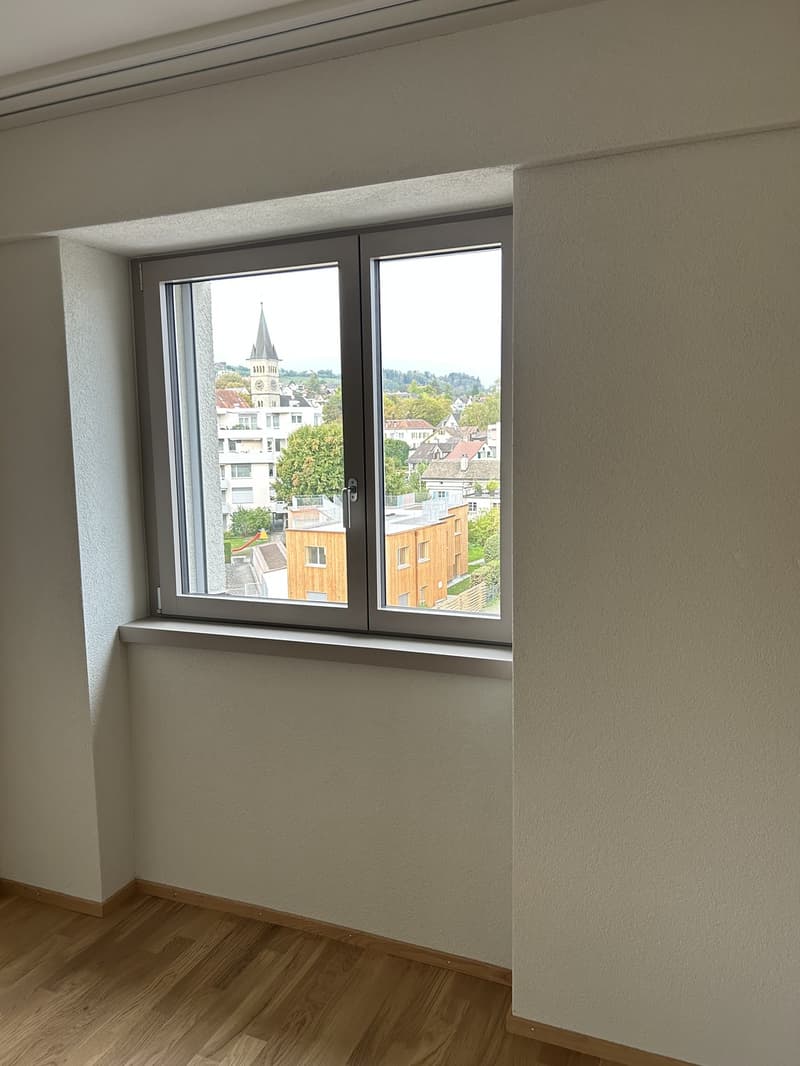 3.5 room apartment in Wädenswil (7)