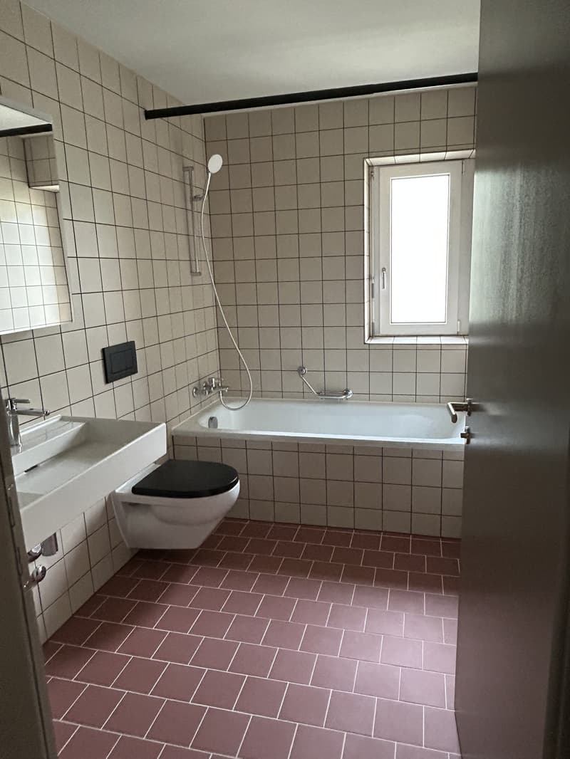 3.5 room apartment in Wädenswil (2)