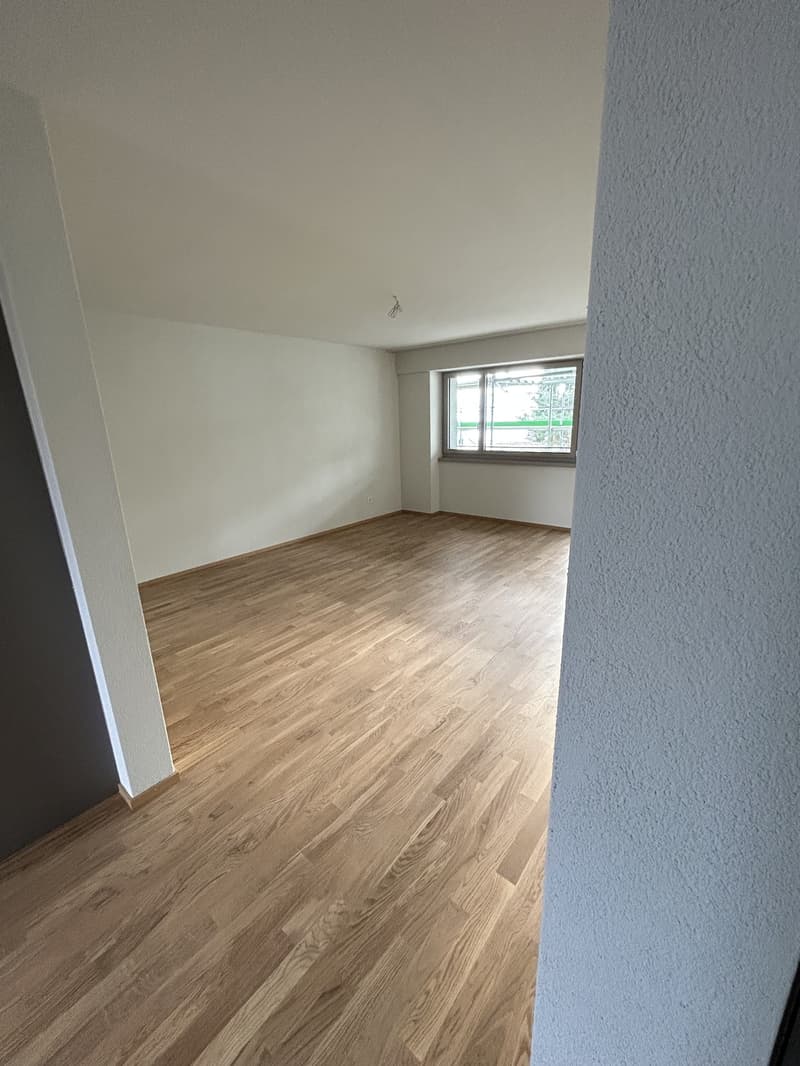 3.5 room apartment in Wädenswil (5)
