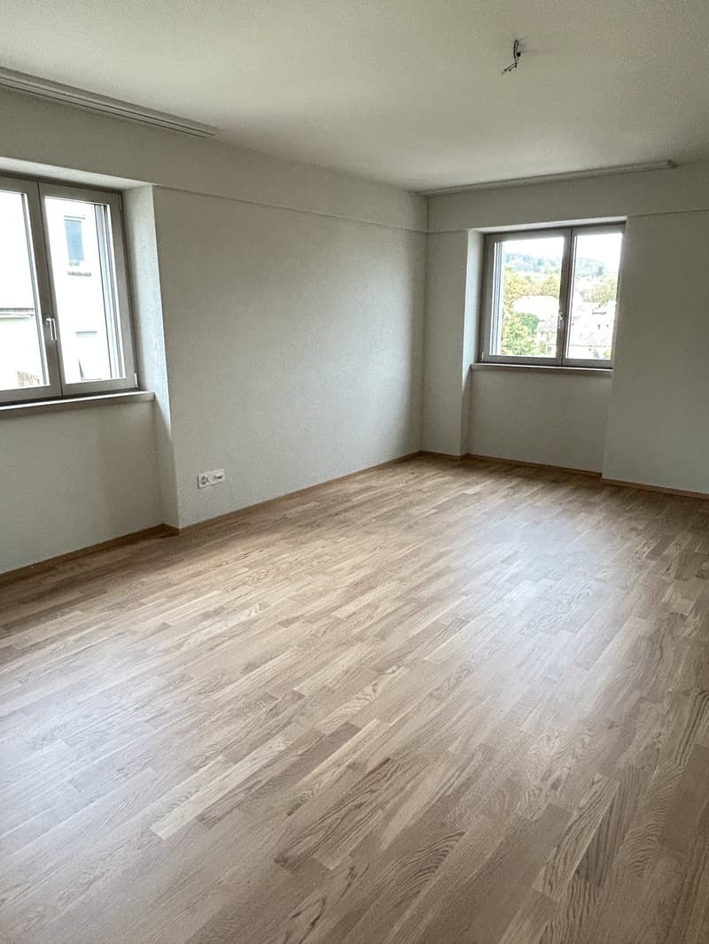 3.5 room apartment in Wädenswil (3)
