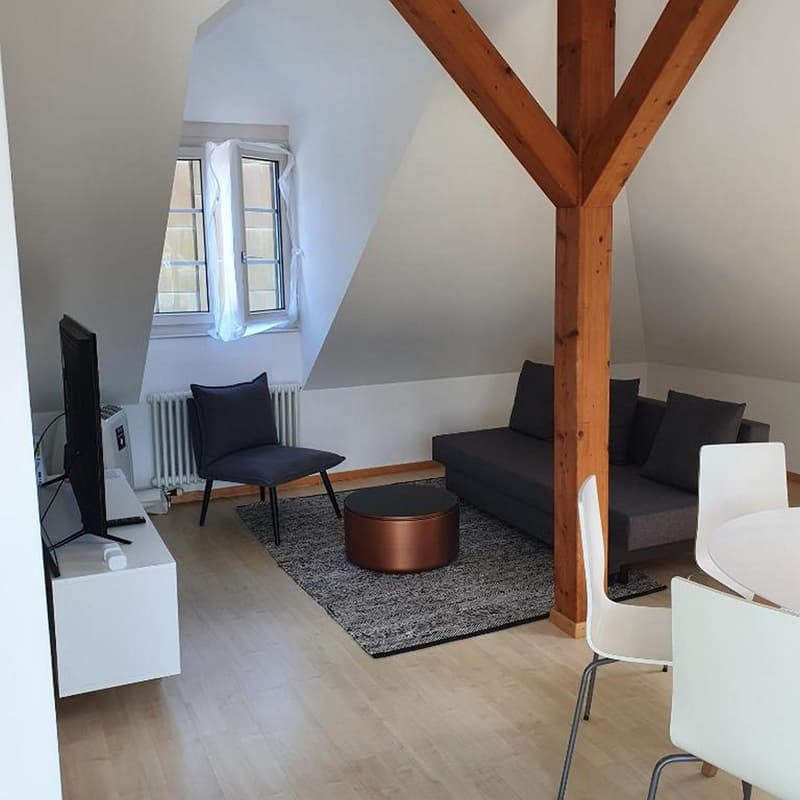 Charmante 2.5-Zimmer-Maisonette-Wohnung mit Bergblick in Zug (4)
