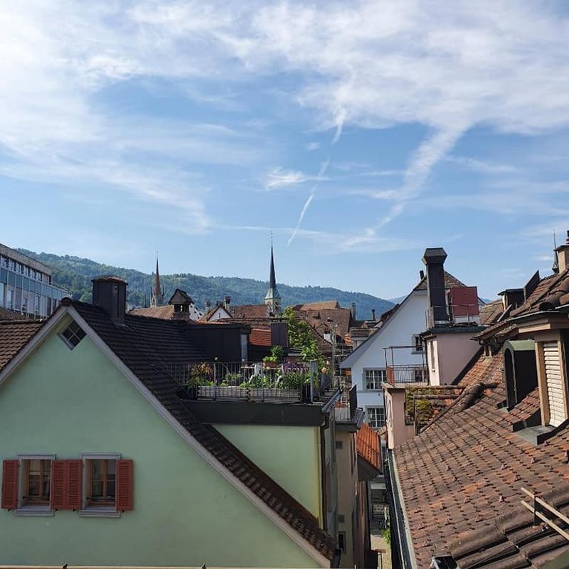 Charmante 2.5-Zimmer-Maisonette-Wohnung mit Bergblick in Zug (9)