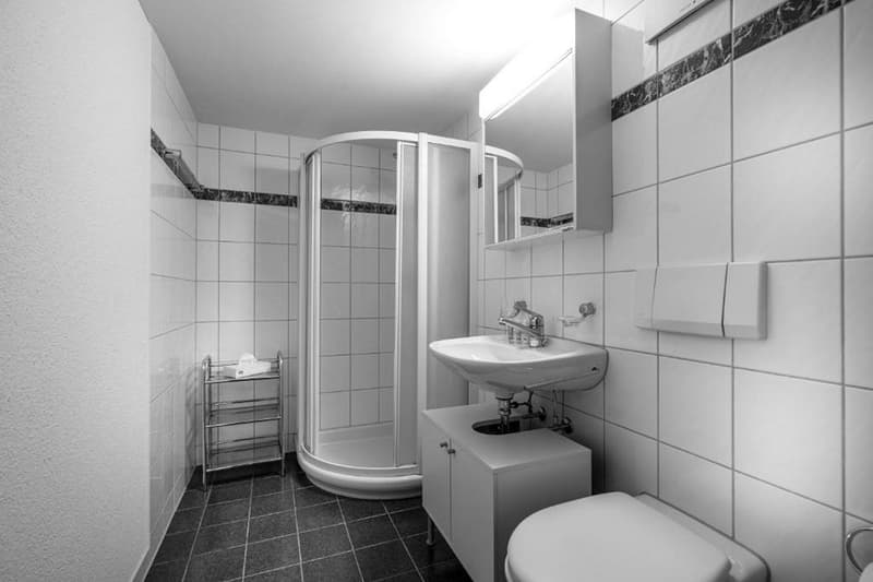 Charmante 2.5-Zimmer-Maisonette-Wohnung mit Bergblick in Zug (3)
