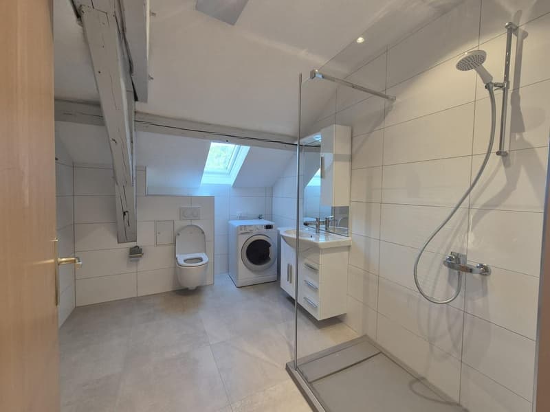 Belle appartement Urgent Novembre (9)