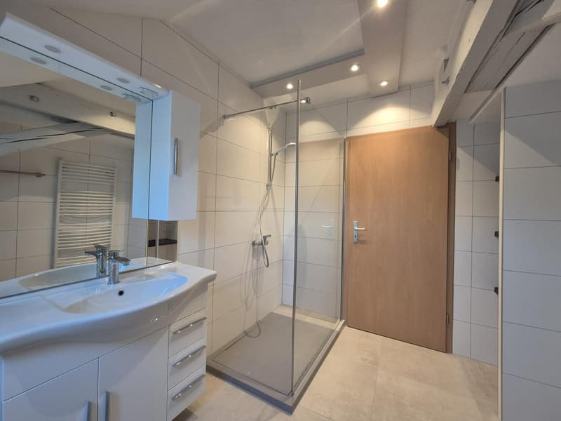 Belle appartement Urgent Novembre (1)