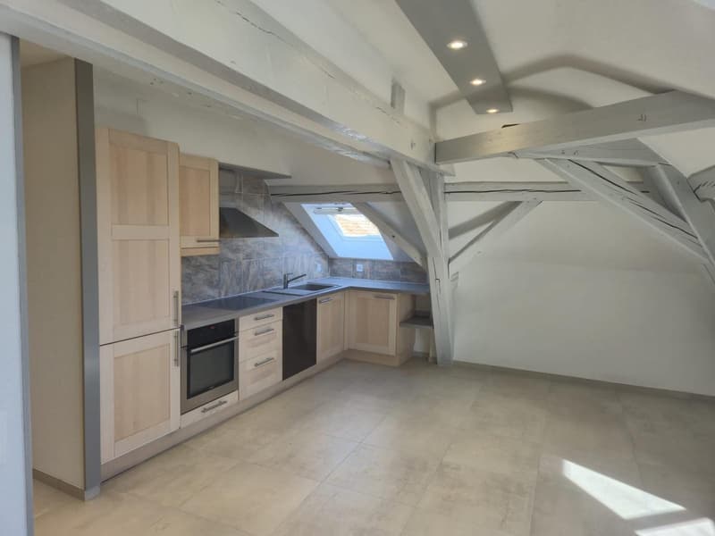 Belle appartement Urgent Novembre (3)