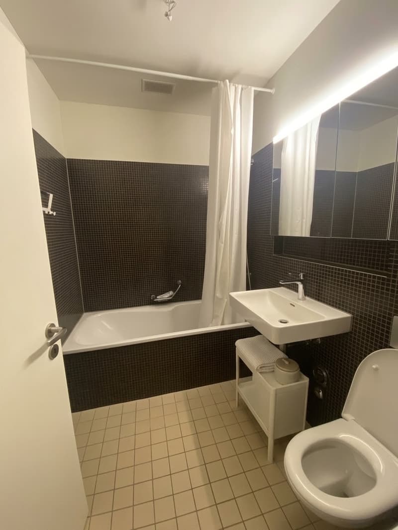 Cozy 14m² Room in Friendly 3-Person Flatshare near Bucheggplatz (4)