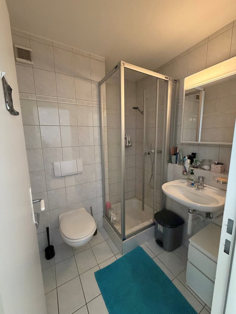 For rent: furnished room in modern 120sqm apartment, five minutes away from Kloten Bahnhof, available from 1 December 2026 (10)