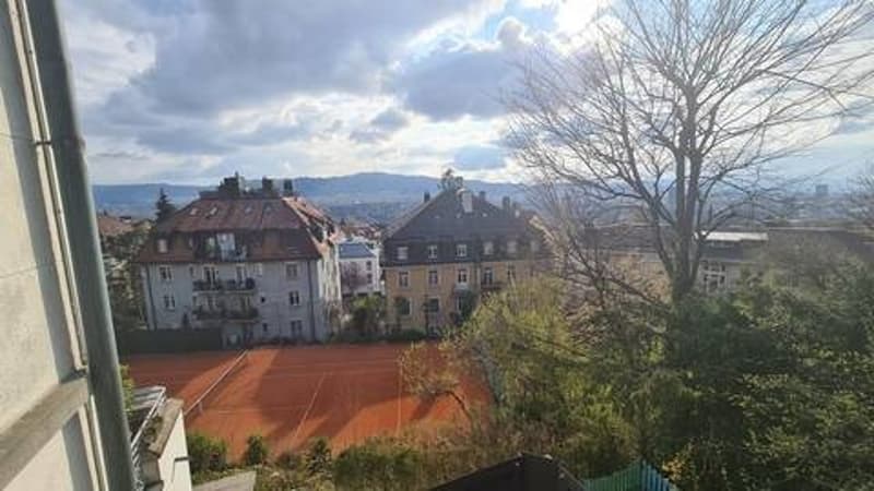 Möbliertes 3.5 Apartment zu vermieten nähe Rigiplatz/Uni Spital/ETH | Furnished 3.5 apartment for rent near Rigiplatz/Uni Spital/ETH (3)