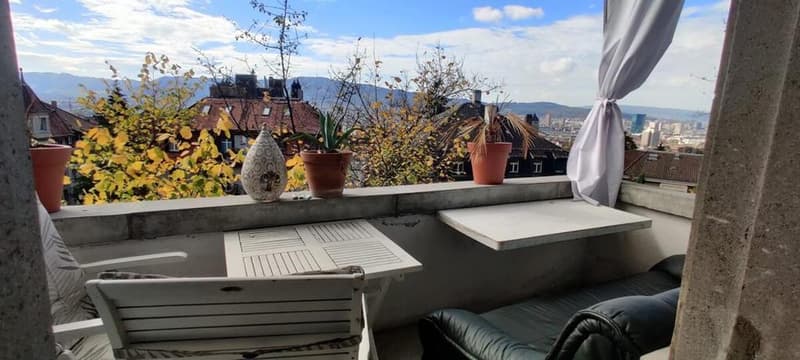 Möbliertes 3.5 Apartment zu vermieten nähe Rigiplatz/Uni Spital/ETH | Furnished 3.5 apartment for rent near Rigiplatz/Uni Spital/ETH (10)